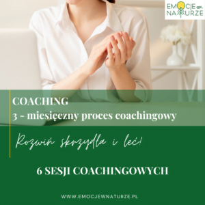 coaching sesje coachingu